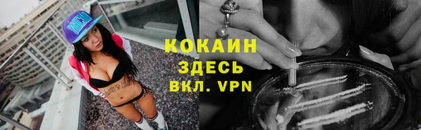 метадон Гусь-Хрустальный