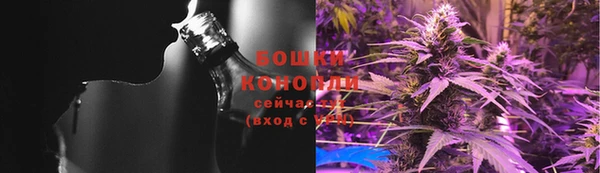 гидра Ахтубинск