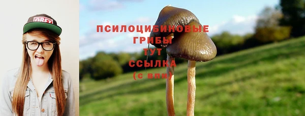 MESCALINE Гусев