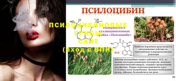 метадон Гусь-Хрустальный