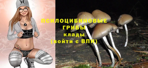 MESCALINE Гусев