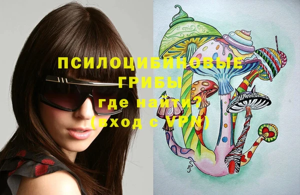 метадон Гусь-Хрустальный